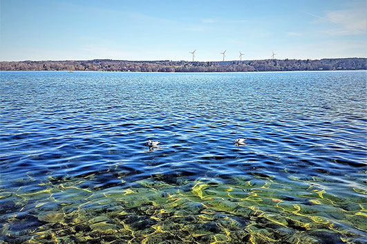 Lake Starnberg